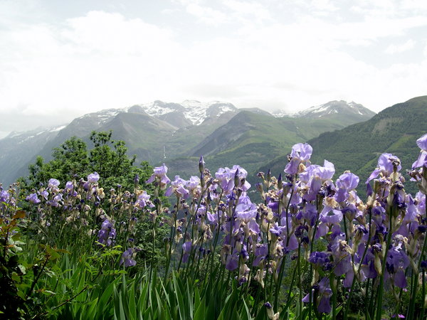 Vue du chalet