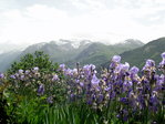 Vue du chalet