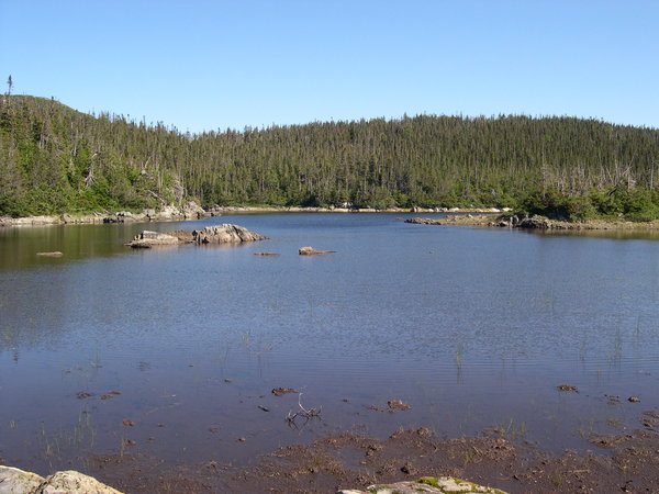 Lac aux bouleaux