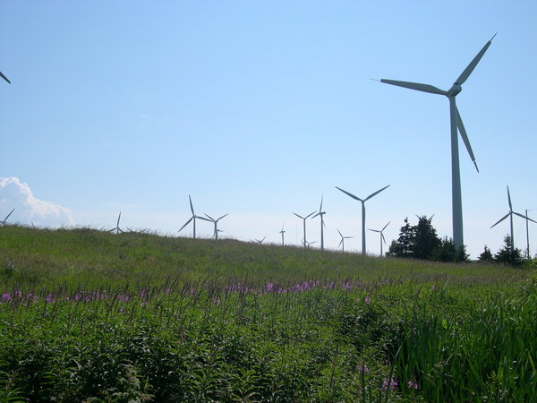 Eoliennes de Cap-Chat