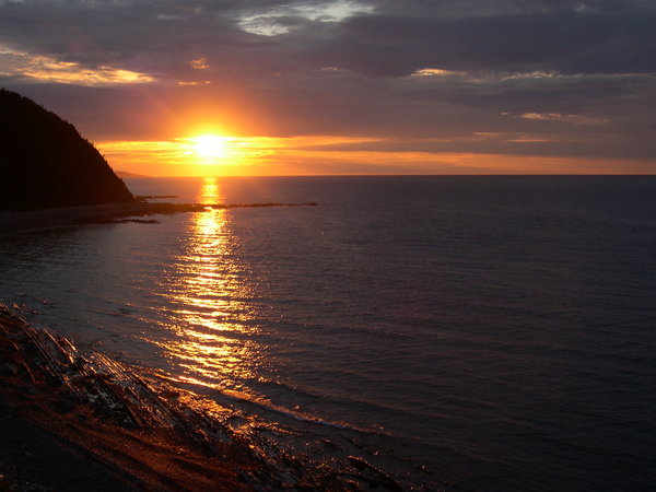 Anse des Cannes de Roches