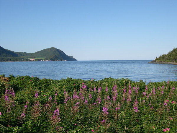 Anse à Mercier dans le parc du Bic