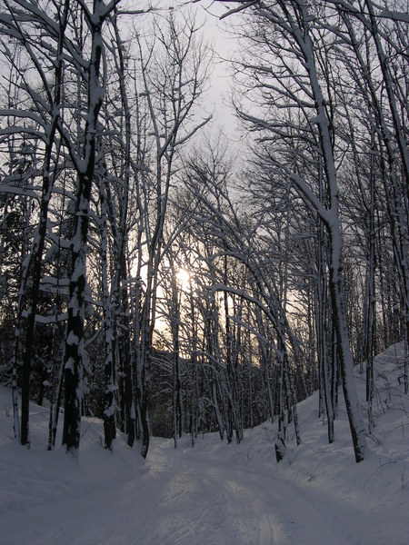 Piste à la montagne coupée