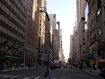 The 5th avenue