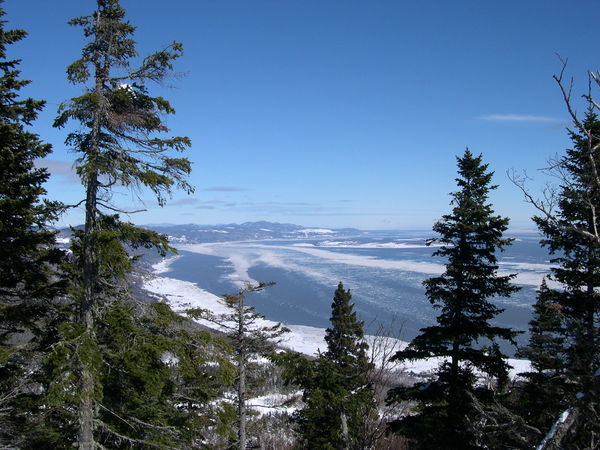 Notre vue pendant le pique-nique