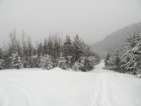 Toujours en pleine tempête