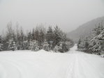 Toujours en pleine tempête